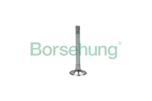 Выпускной клапан ! VW MULTIVAN VI 2.0 TDI (15>), MULTIVAN VI 2.0 TDI 4motion (15>), TRANSPORTER / C B18999 BORSEHUNG