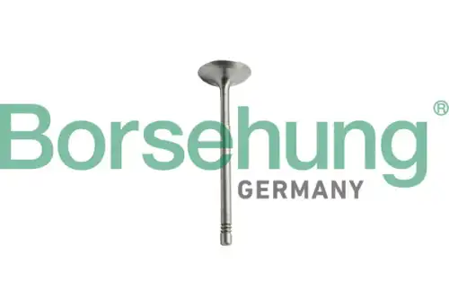 клапан выпускной! MB B10344 BORSEHUNG