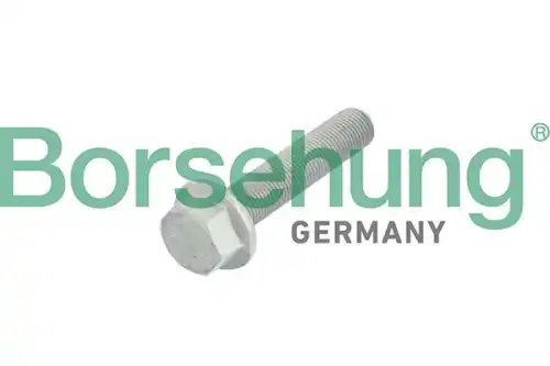 болт шкива коленвала! M16x1.5x75 Audi, SEAT, Skoda, VW 04> B10633 BORSEHUNG