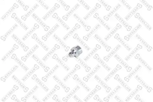 Масленка STELLOX 89-17033-SX