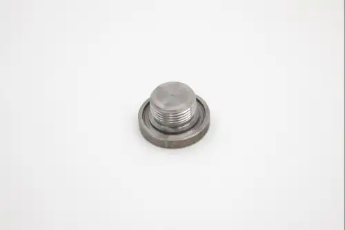 пробка поддона картера! Iveco 4894139