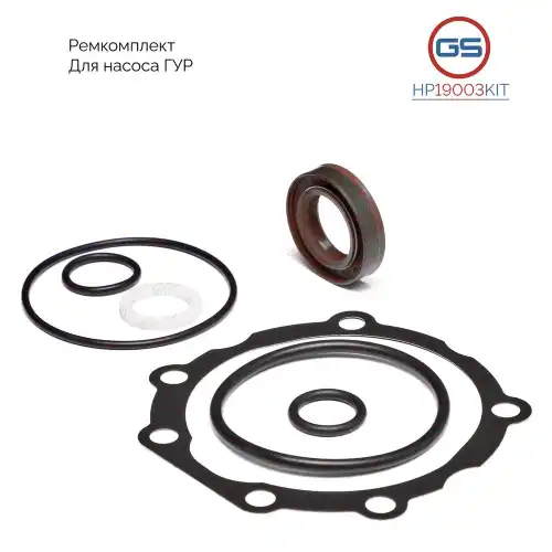 HP19003KIT Ремкомплект насоса ГУР Fiat Ducato (250) 2006-, Iveco Daily 2006- GS