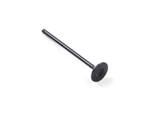 клапан выпускной! Nissan Tiida/Qashqai 1.6 HR16DE 07> 13202ED00C