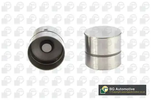 Гидрокомпенсатор BGA HL6350