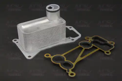 Масляный радиатор TERMAL 700901