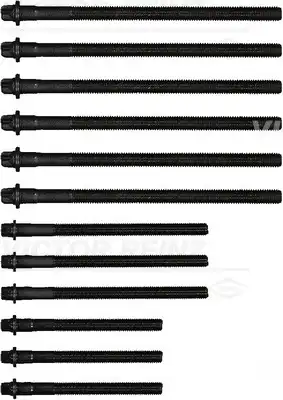 Болт головки блока цилиндра (ГБЦ) VICTOR REINZ 14-32310-01