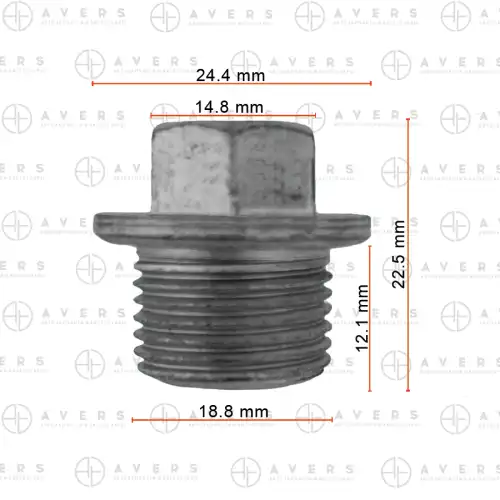 3170100012 Пробка AVERS