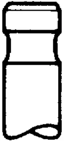 клапан впускной ! 45.5x9x163.5 20°DAF 95XF/CF85/XF95 10535621 TRW