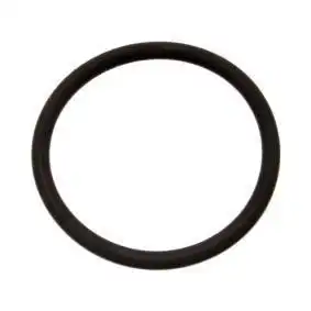 Кольцо уплотнительное автомобильное BPW 02.5677.86.40