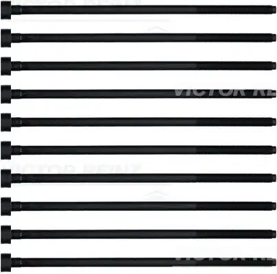 Болт головки блока цилиндра (ГБЦ) VICTOR REINZ 14-32220-01