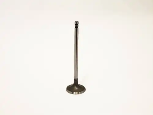 клапан впускной! Chery Tiggo T11 481H1007011BA CHERY / EXEED