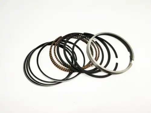 Кольца поршневые CHERY / EXEED 473HBJ1004030