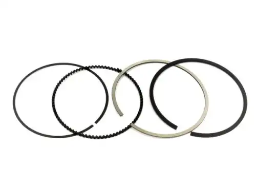 Кольца поршневые CHERY / EXEED 484J1004030