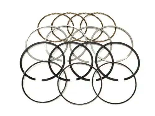 Кольца поршневые CHERY / EXEED 481FD-1004030