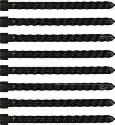 Болт головки блока цилиндра (ГБЦ) VICTOR REINZ 14-32125-02