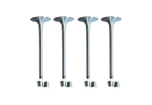 клапана впускные! к-кт 4шт. Renault Logan/Sandero/Clio/Megane 1.2/1.4/1.6 89> 30463 ASAM