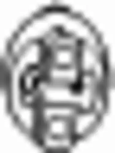 крепление глушителя! Ford Mondeo/Scorpio/Transit 1.3/1.6-2.0/1.8TD 93> 255-051 BOSAL