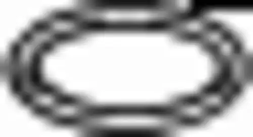 Прокладка глушителя BOSAL 256-165