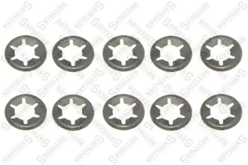 р/к дискового тормоза! 10(м) шайбы стопорные BPW TSB 3709/4309/4312 85-10747-SX STELLOX