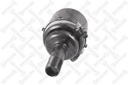 энергоаккумулятор! клинового тормоза T12/20 DAF, IVECO 85-00550-SX STELLOX