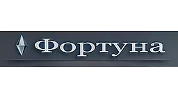 Сблок заднего продольного рычага F051S ФОРТУНА