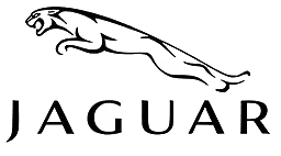 JDE41144 Пробка-слив масла JAGUAR