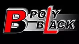 Рычаг подвески POLYBLACK AM062470