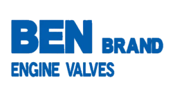 Клапан впускной (комплект 4 шт) HONDA CR-VSTEPWGNORTHIA B20B 96- HON199 BEN