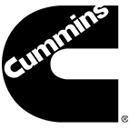 Поршень в сборе Cummins 6C 8.3, шт 3929161