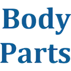 DUSTER '10- БРЫЗГОВИК ЗАДН КРЫЛА ПРАВ ПЕРЕД (КИТАЙ) RNDUS10-581-R BODYPARTS