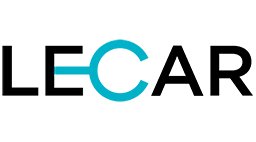 Канистра автомобильная LECAR LECAR000171306