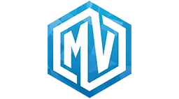 Прокладка коллектора MV-PARTS MVGASG10