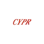 Кольца поршневые CYPR 1004695215